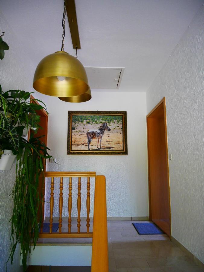Ferienwohnung Eichkatzel Zell 외부 사진